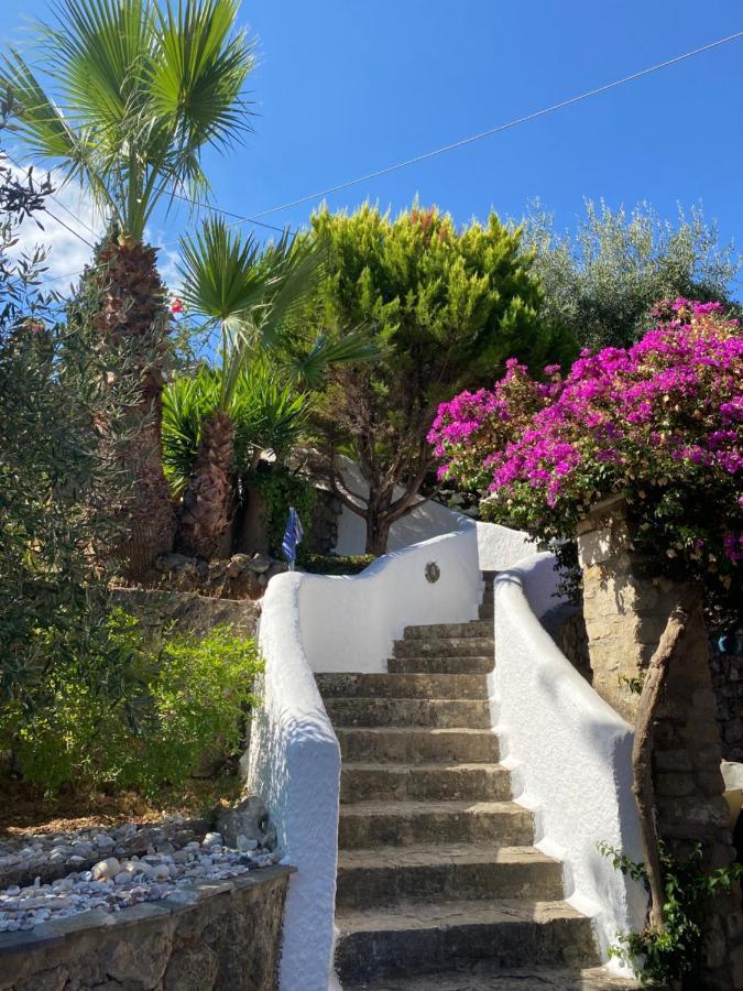 شقة Kontos Mansion بينيتسيس المظهر الخارجي الصورة
